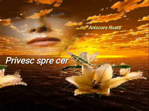 Se încarcă...