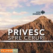 Se încarcă...