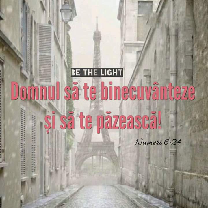 Se încarcă...