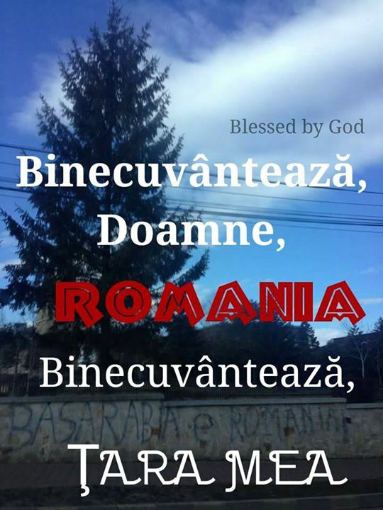 Se încarcă...